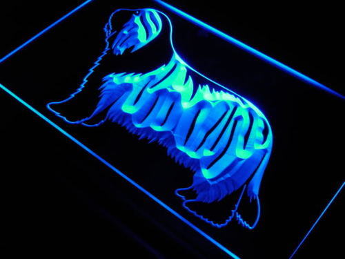 Beardie Dog Pet Puppies Shop Neon Light Sign